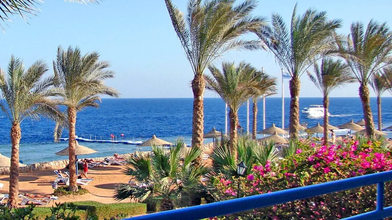 Hotel Queen sharm resort - Sharm Elshikh
